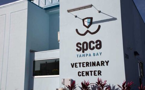 Photo of the SPCA Tampa Bay Vet Center
