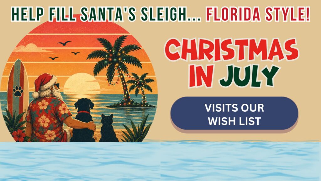 christmas in july 2026 SPCA Tampa Bay