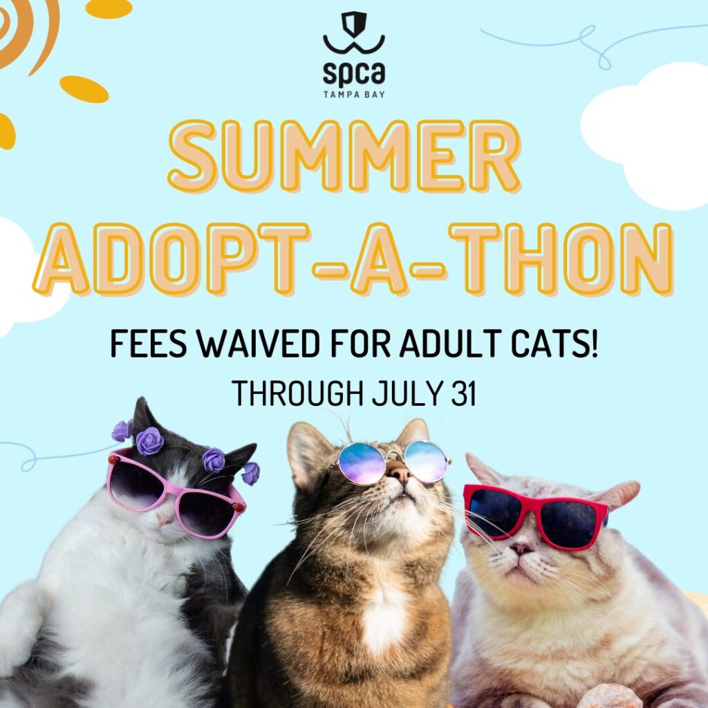 Events for October 2024