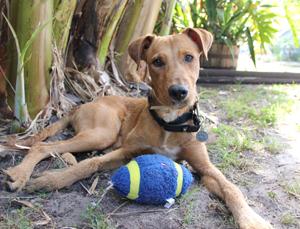 Piper shortly after her adoption