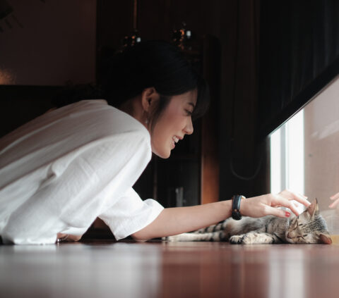Asian,Girl,In,White,Dress,Playing,With,Black,Cat,On