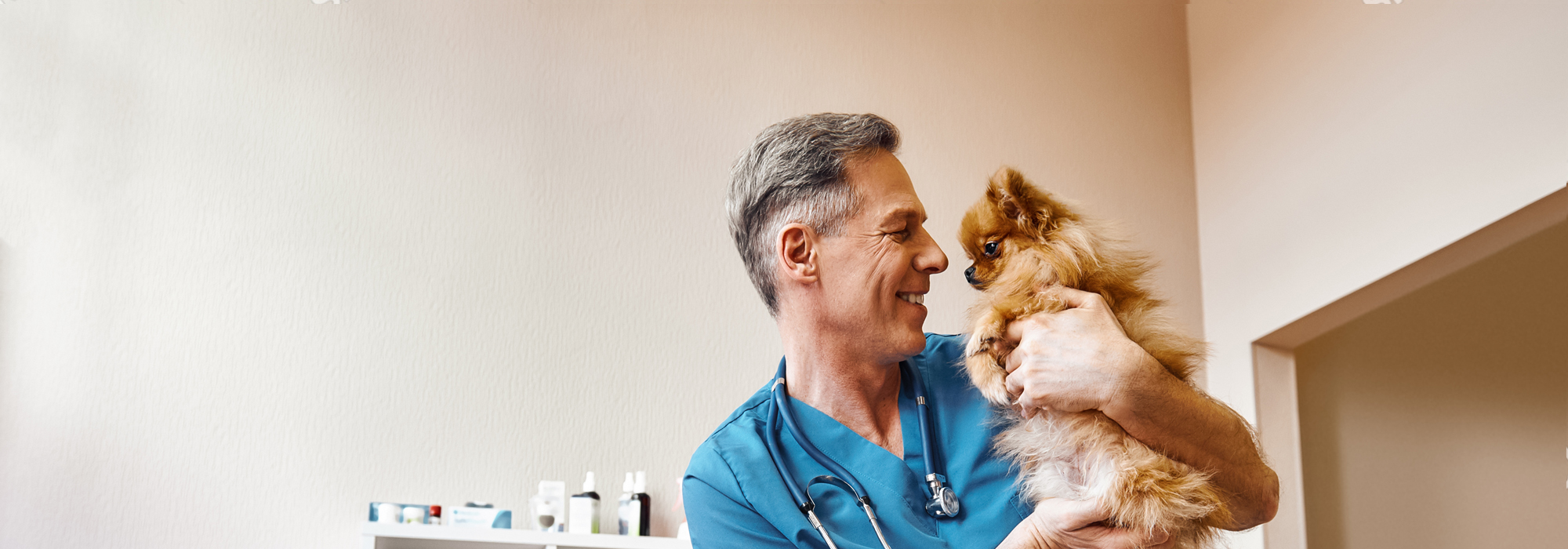 Veterinary Center – St. Pete Pet Care – SPCA Tampa Bay Pet Hospital